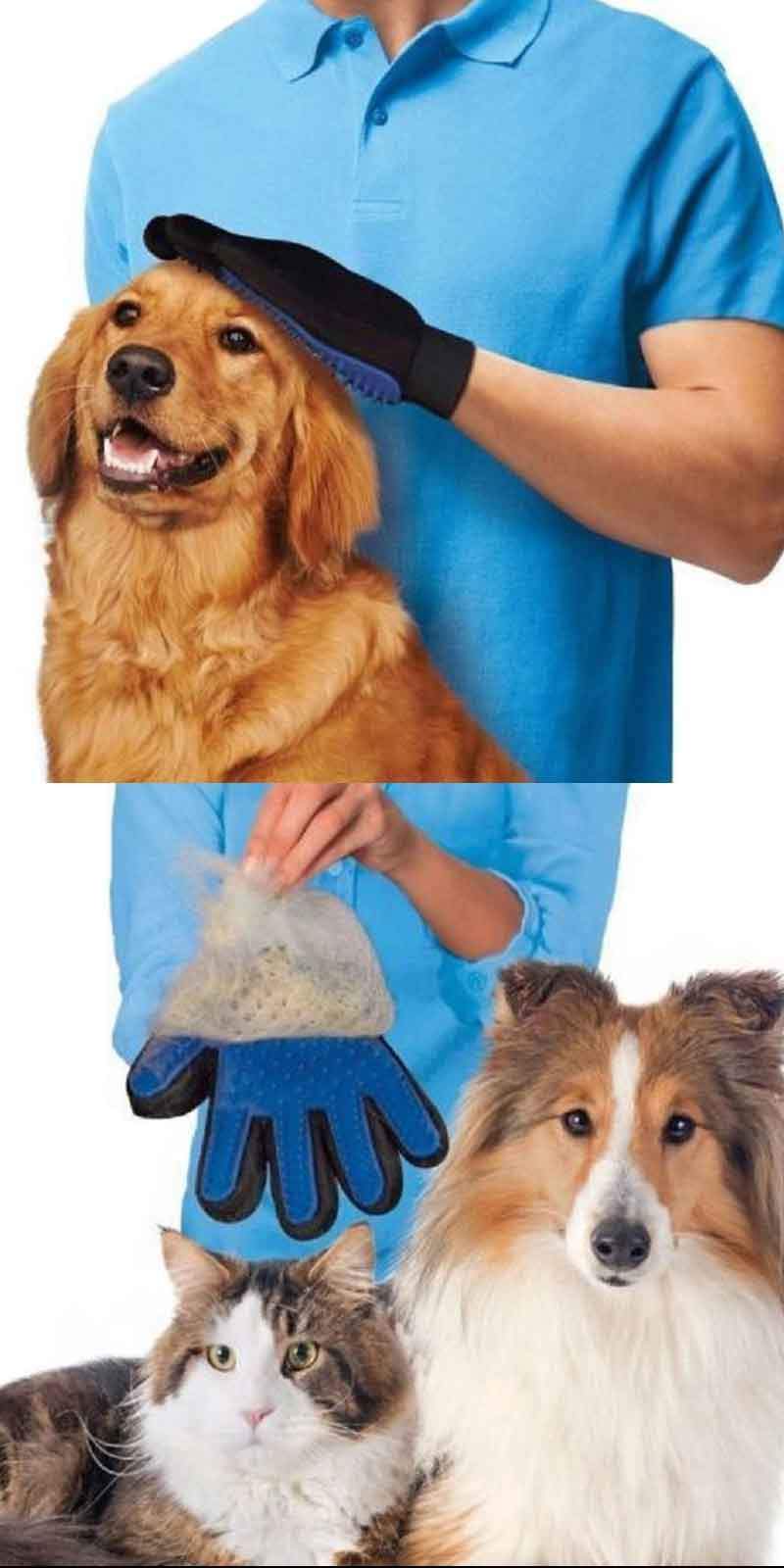 Fellpflege-Handschuhe für hunde