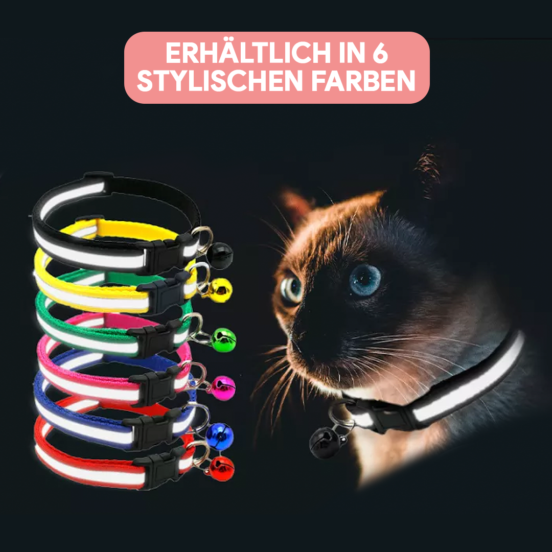Katzen - LED Leuchthalsband