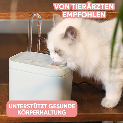 Katzen Trinkbrunnen - Katzenbrunnen mit Wasserfilter