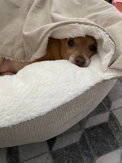 Flauschige Anti-Stress-Hundehöhle "Kuschelwolke" - das Original - sicherer Rückzugsort, samtweicher Rund-um-Schutz, waschbar_dunkelbeige3
