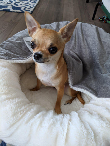 Flauschige Anti-Stress-Hundehöhle "Kuschelwolke" - das Original - sicherer Rückzugsort, samtweicher Rund-um-Schutz, waschbar_steingrau 2