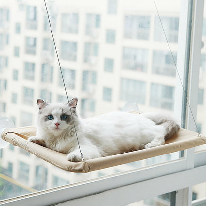 Katzen Hängematte