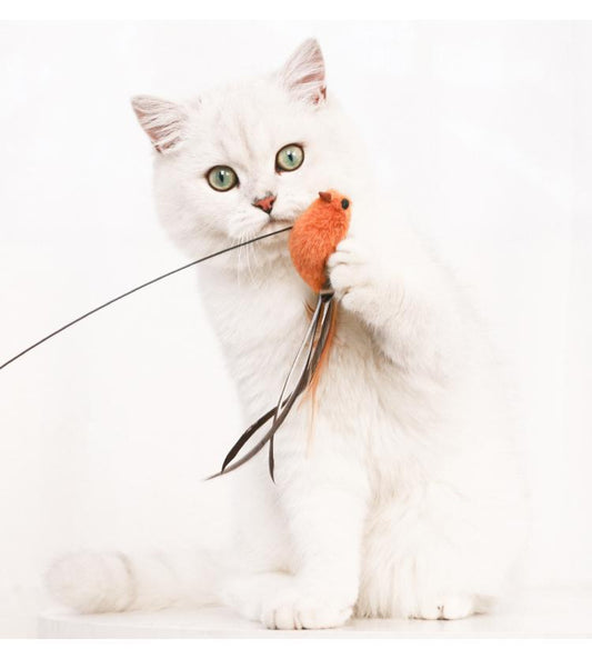  Katzen-Spielzeug mit Saugnapf - vielseitig, langlebig, schult Jagdinstinkt