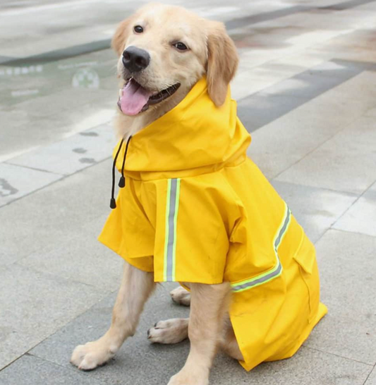 Hunde-Regenmantel - schützt vor Wind, Regen und Kälte__gelb