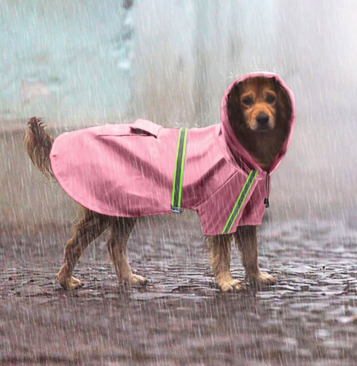 Hunde-Regenmantel - schützt vor Wind, Regen und Kälte__rosa