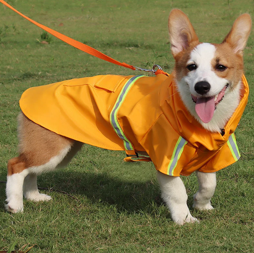 Hunde-Regenmantel - schützt vor Wind, Regen und Kälte_orange 2