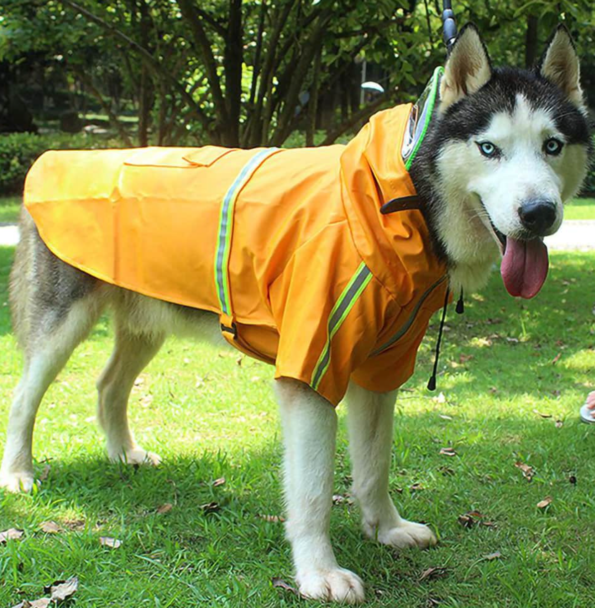 Hunde-Regenmantel - schützt vor Wind, Regen und Kälte__orange