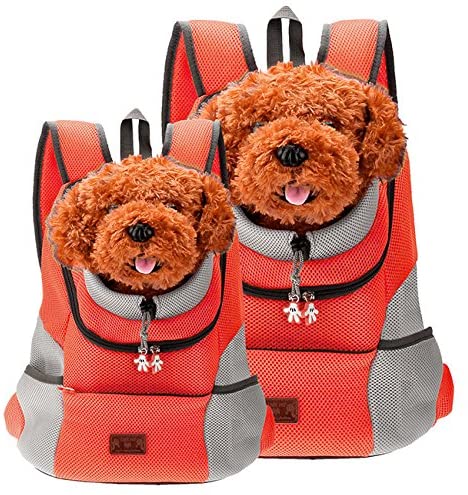 Hunde-Tragerucksack für kleine & mittelgroße Hunde bis max. 11 kg - super bequem & größenverstellba orange testsieger