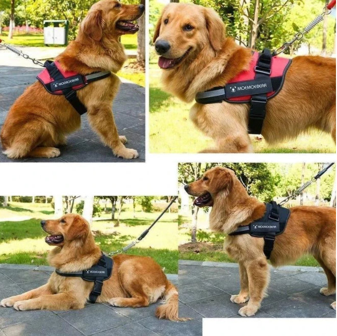 Flexy™ Power Hundegeschirr, strapazier- und anpassbar grosse hunde
