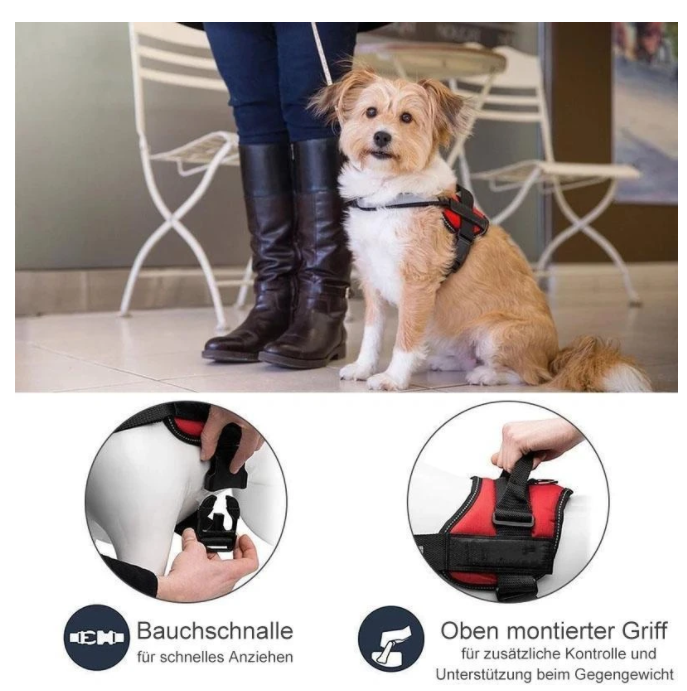 Flexy™ Power Hundegeschirr, strapazier- und anpassbar  mittelgrosse hunde