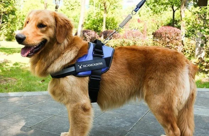 Flexy™ Power Hundegeschirr, strapazier- und anpassbar  blau