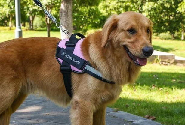 Flexy™ Power Hundegeschirr, strapazier- und anpassbar  pink