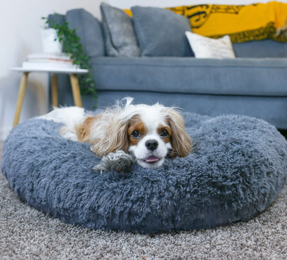 Orthopädisches Hundebett "Wolke 7" - kuschelig weich, leicht waschbar, haustierfreundlich_anthrazit