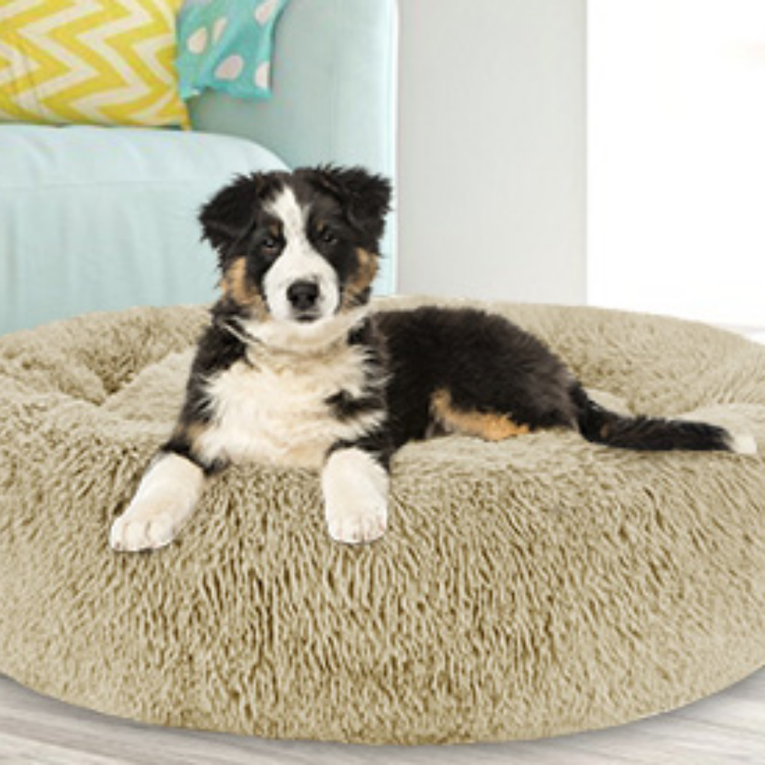 Orthopädisches Hundebett "Wolke 7" - kuschelig weich, leicht waschbar, haustierfreundlich_beige