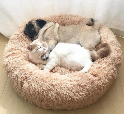 Orthopädisches Hundebett "Wolke 7" - kuschelig weich, leicht waschbar, haustierfreundlich_beige 4