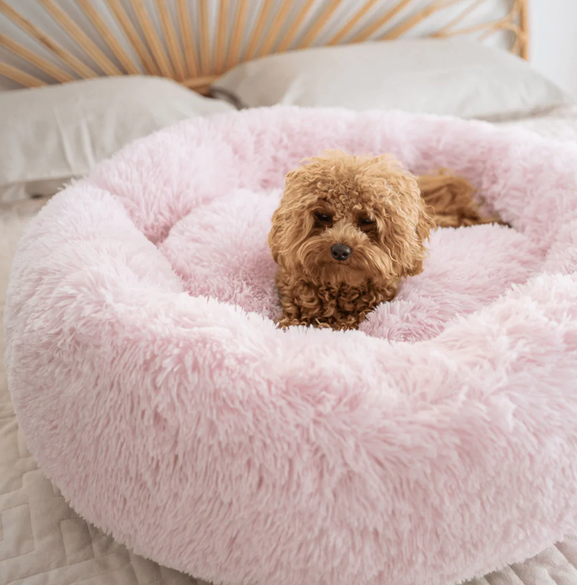 Orthopädisches Hundebett "Wolke 7" - kuschelig weich, leicht waschbar, haustierfreundlich_pink