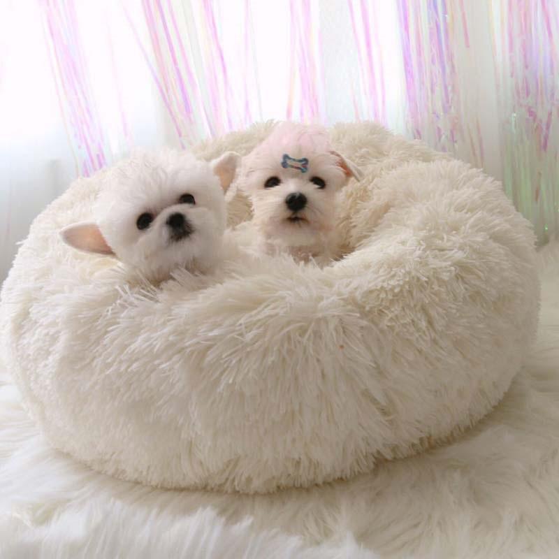 Orthopädisches Hundebett "Wolke 7" - kuschelig weich, leicht waschbar, haustierfreundlich_weiß2