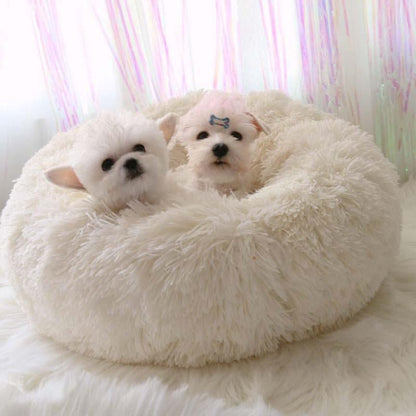 Orthopädisches Hundebett "Wolke 7" - kuschelig weich, leicht waschbar, haustierfreundlich_weiß2