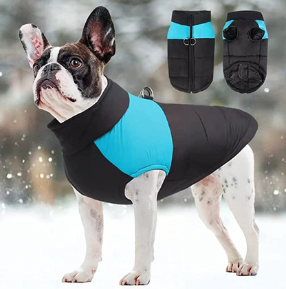 Buddypuppy Hundemantel Winter, Warme Hundejacke Wasserdicht mit Geschirr  für Mittel und Grosse Hunde : : Haustier