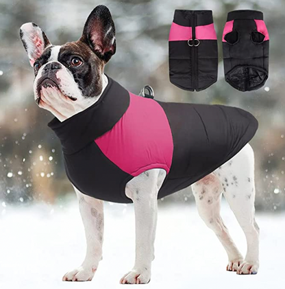 Winter-Hundejacke / Hundeweste / Hundemantel - wasserdicht, warm & weich_pink_bulldogge