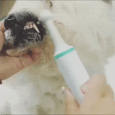 Hundeliebling™ Zahnbürste für Hunde