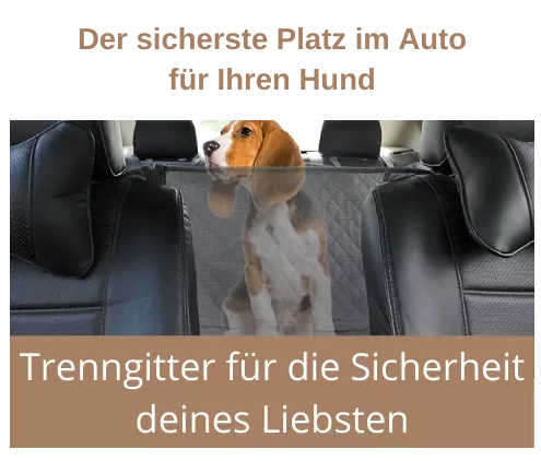 Hunde Autodecke für Rückbank und Kofferraum – www.m
