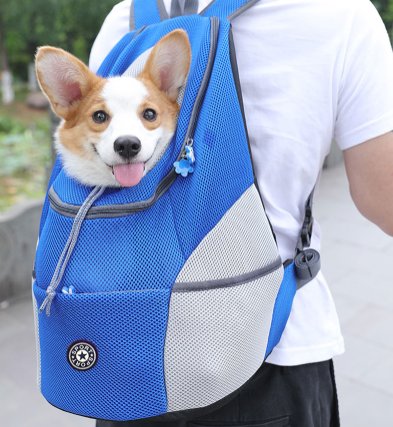 Hunde-Tragerucksack für kleine & mittelgroße Hunde bis max. 11 kg - super bequem & größenverstellbar_blau