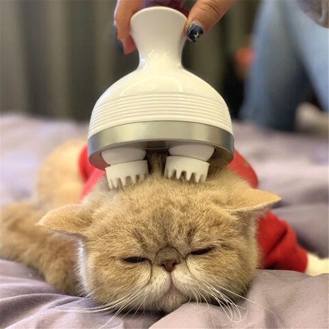Massagegerät für Katzen