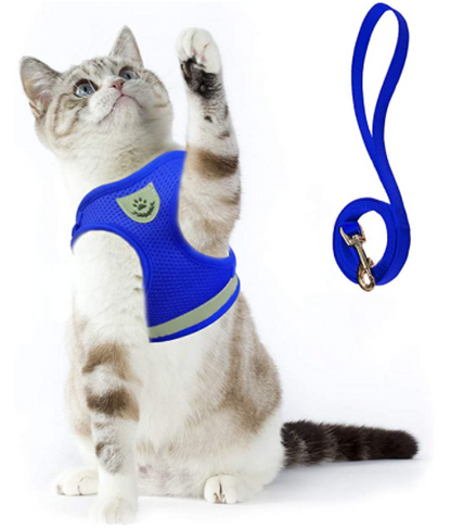 2-in-1 Katzengeschirr inkl. Leine mit Reflexstreifen, strapazier- und anpassbar blau testsieger