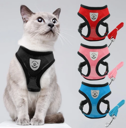 2-in-1 Katzengeschirr inkl. Leine mit Reflexstreifen, strapazier- und anpassbar farben