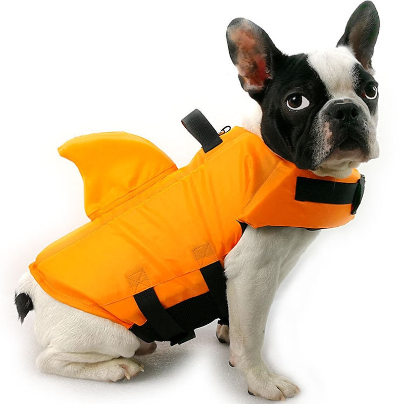 hunde schwimmweste orange testsieger