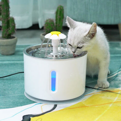 Trinkbrunnen für Katzen - Testsieger